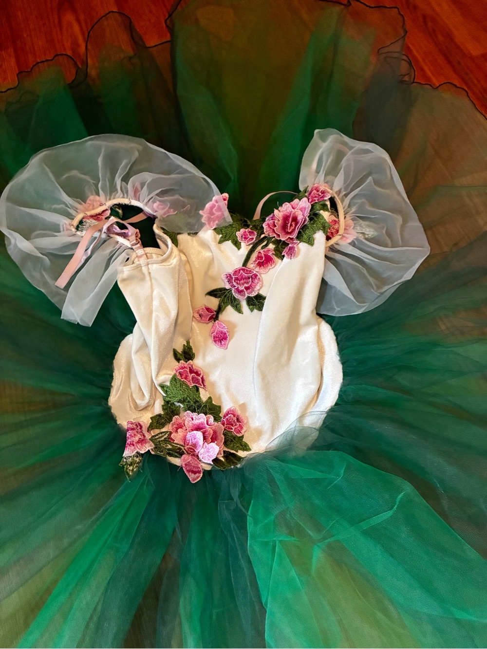 A Wish Come True Les Roses Girls Green Floral Tulle Dance Costume - Picture 4 of 6